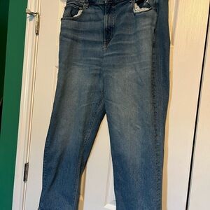 American Eagle Outfitters Dark Blue Denim